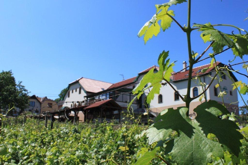Hotel Vinohrad Milotice Ngoại thất bức ảnh