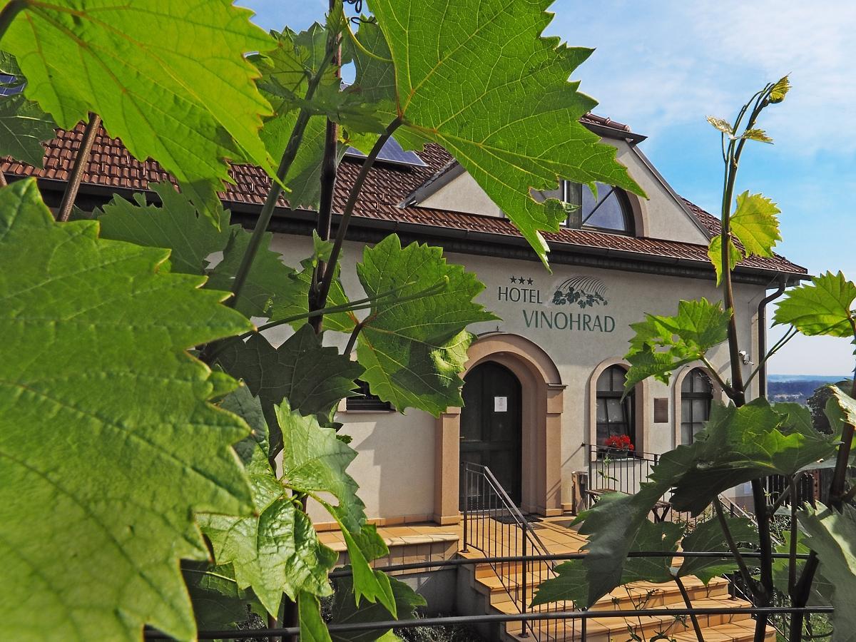 Hotel Vinohrad Milotice Ngoại thất bức ảnh